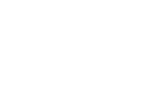 Festinare